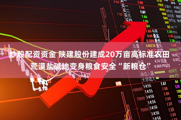 炒股配资资金 陕建股份建成20万亩高标准农田 荒漠盐碱地变身粮食安全“新粮仓”