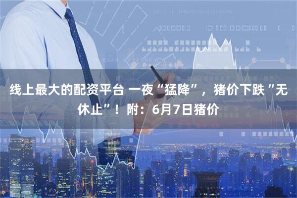 线上最大的配资平台 一夜“猛降”，猪价下跌“无休止”！附：6月7日猪价
